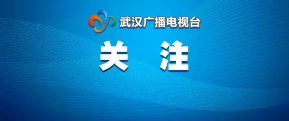 国外黄冈b站：探讨海外华人如何在视频平台上分享学习资源与文化交流的重要性