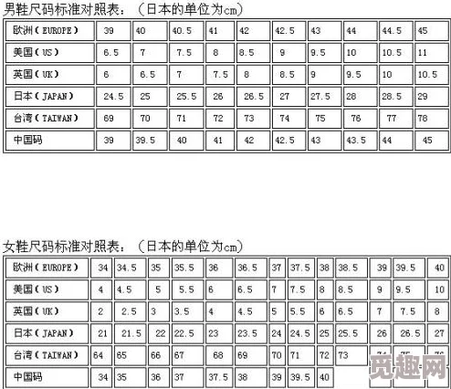 欧美尺码日本尺码专线暗香：最新时尚潮流趋势与消费者偏好分析，助力跨国购物体验提升