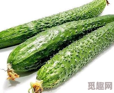 香蕉秋葵黄瓜丝瓜草莓榴莲：新鲜水果与蔬菜的营养搭配，助力健康饮食新风潮！