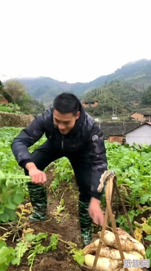 男女拔萝卜原声不带歌词没有马赛克，趣味互动引发网友热议，展现生活中的幽默与乐趣！