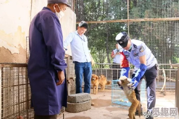 二人生猴子：夫妻俩在家中意外发现神秘猴子，经过多方努力成功救助并寻找其归属