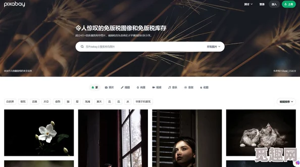 污污的网站在线免费观看：最新动态揭示了更多可供在线观看的资源和平台，满足用户多样化的观看需求