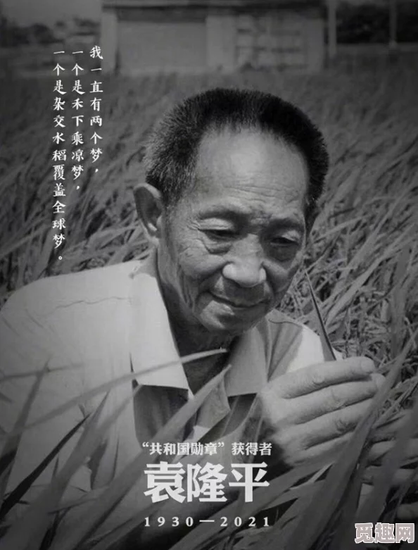 XXXXXL19D18使用评测：让你惊艳的超强性能大曝光，使用体验颠覆想象！